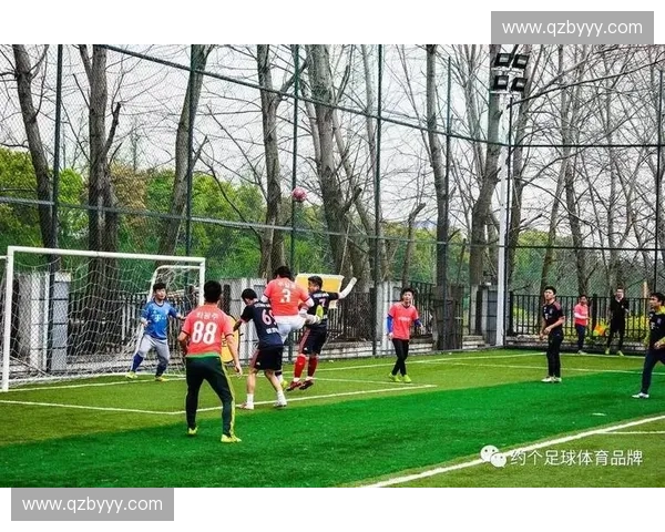 全面解析本赛季各大足球联赛最新战况与争冠走势全景深度图观察篇